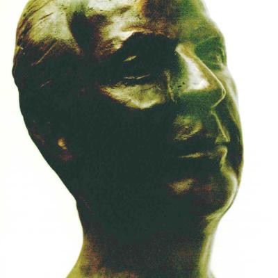 Scultura Spinosa